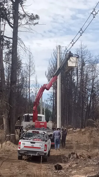 WhatsApp Image 2026-01-16 at 09.42.47