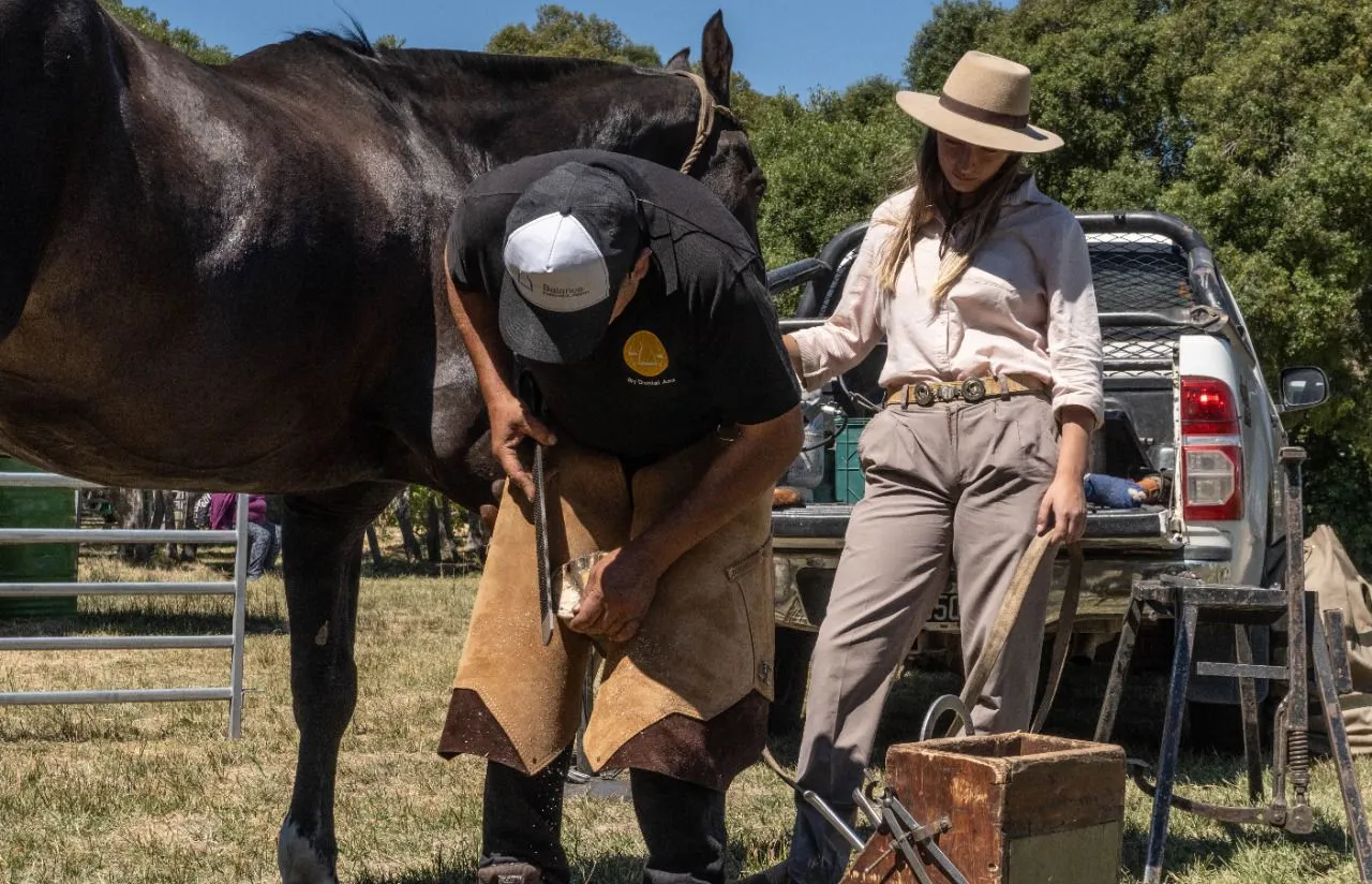 WhatsApp Image 2026-02-03 at 10.10.48