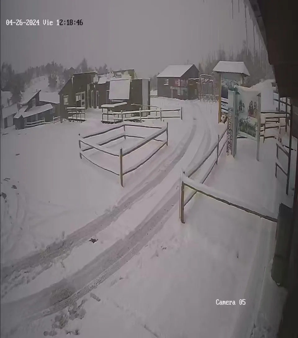 WhatsApp Image 2024-04-26 at 12.20.57