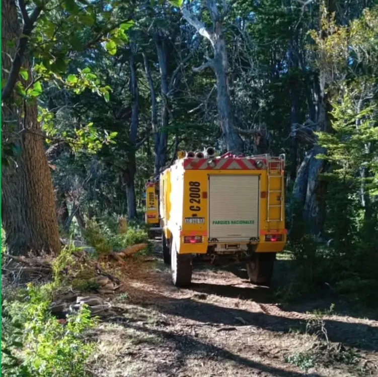 incendio los alerces 2