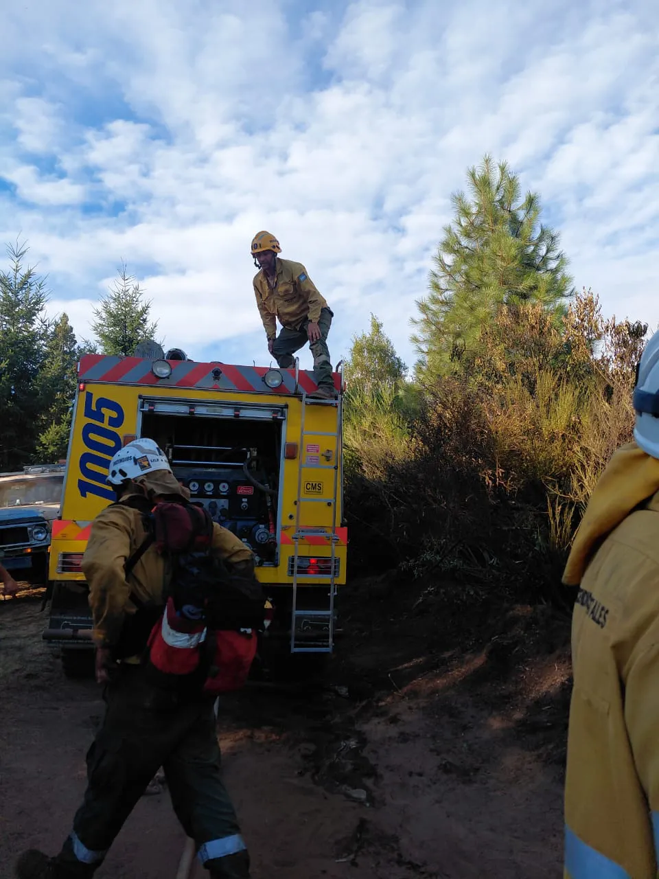 splif incendio loma