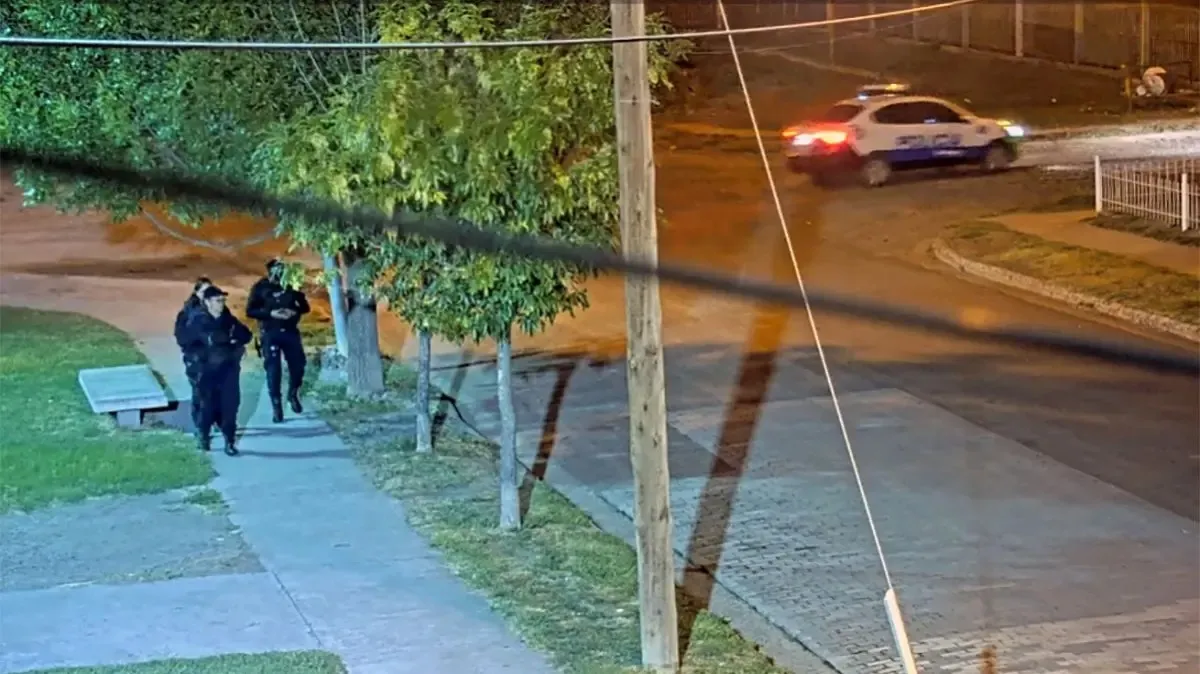 WhatsApp-Image-2026-02-13-at-12.21.28