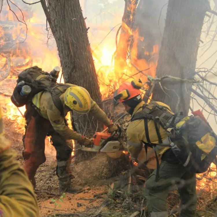 618809361_1335892595243906_8000808276353638497_n