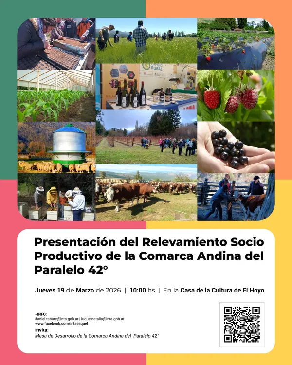 WhatsApp Image 2026-03-13 at 10.20.32