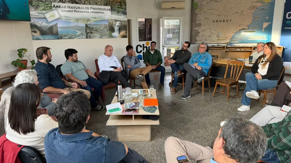 782886c7-5ad0-4653-be48-caf15f734986