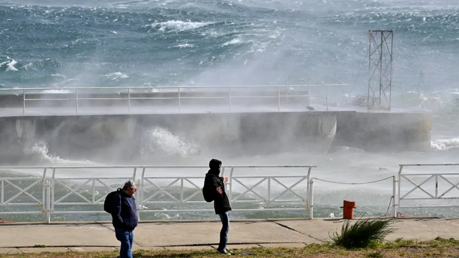 viento bari