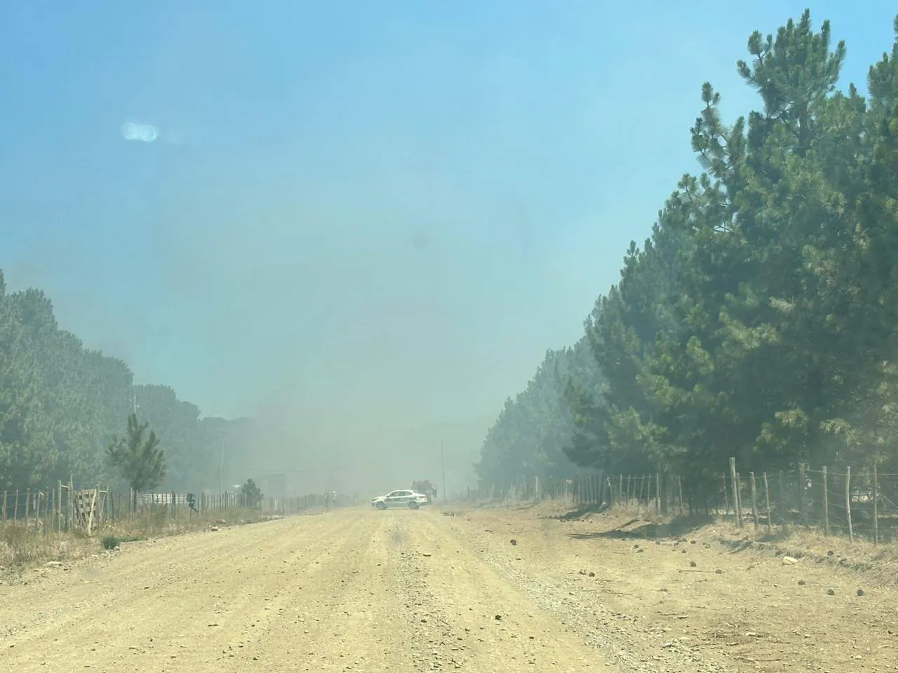 incendio basurero em 3