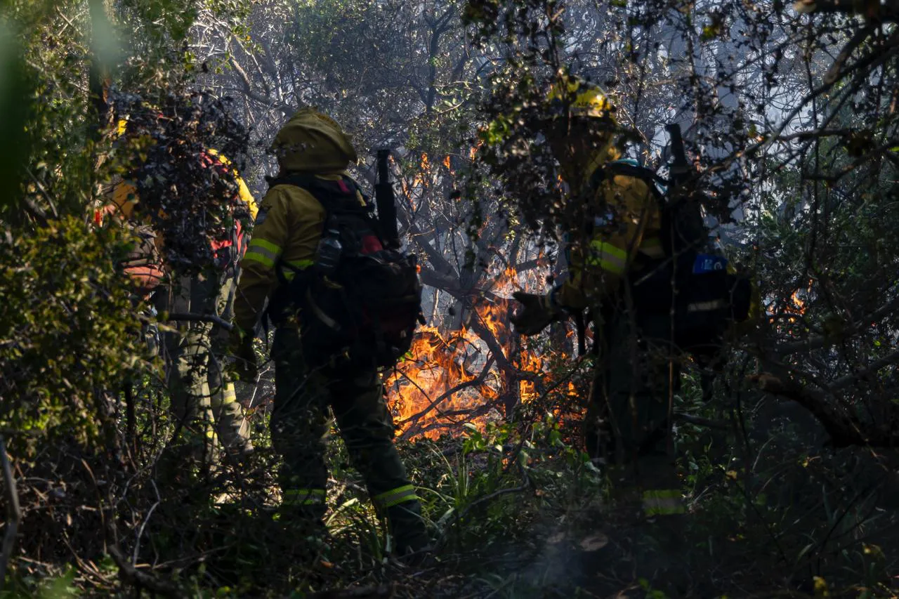 incendio cerro otto 5