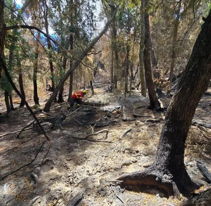 WhatsApp Image 2026-02-24 at 09.27.44 (2)