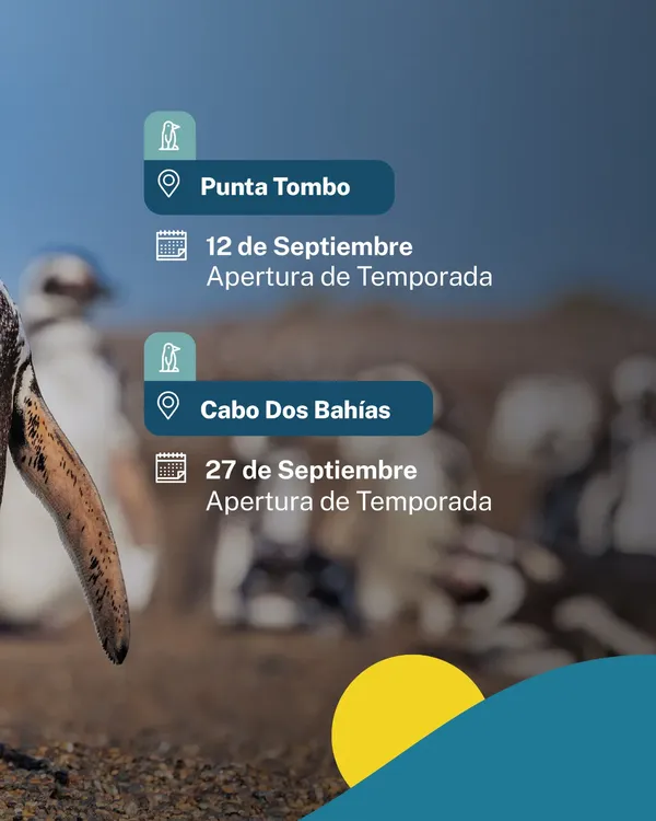 pinguinos 2