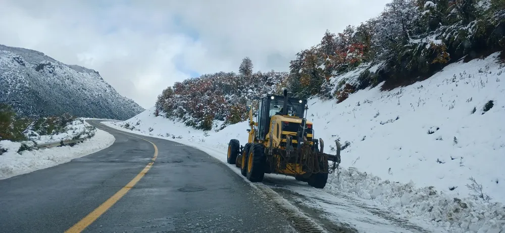ruta 40 nieve vialidad