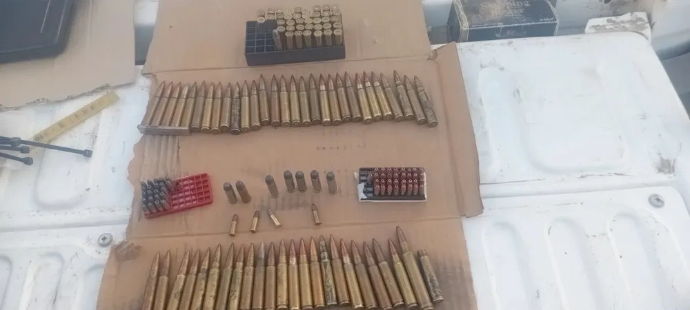 allanamiento amenazas 2