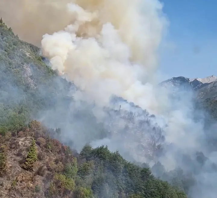 incendio patriada 54