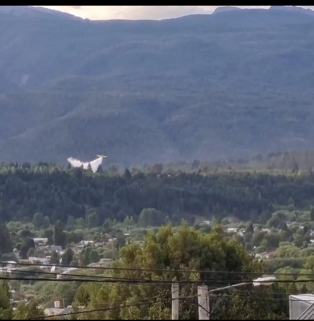 WhatsApp Image 2026-01-25 at 23.10.05