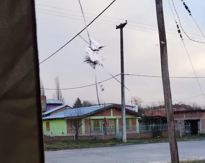 roturas vidrios cholila