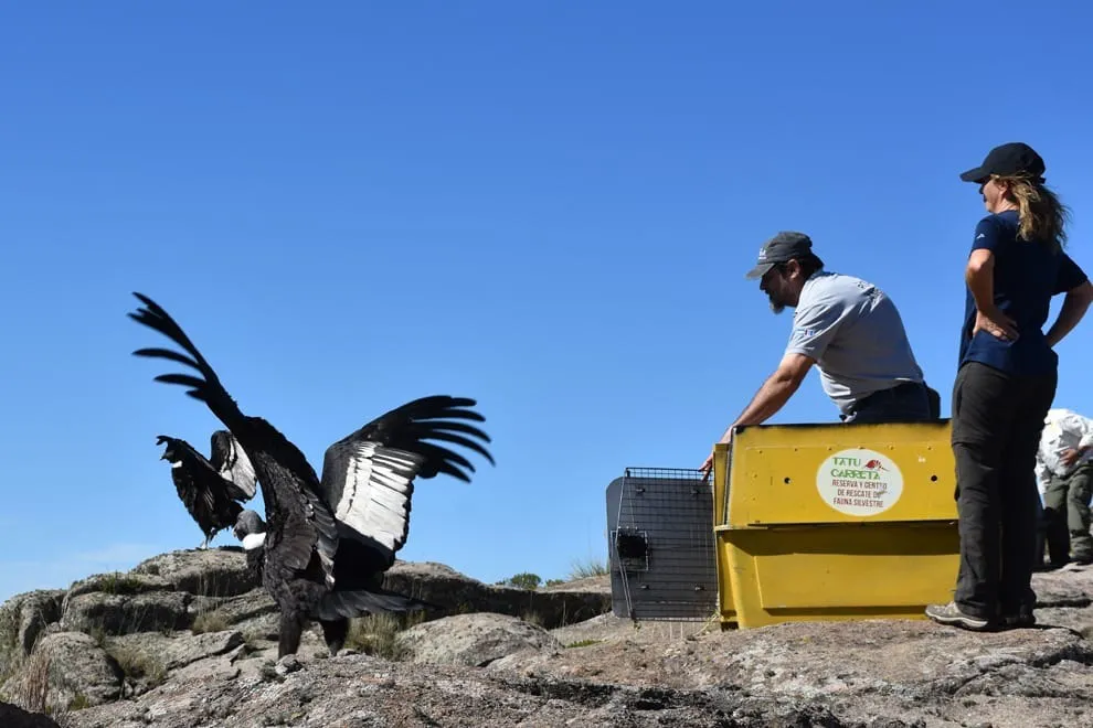 487968259_1040900324725577_7577801776422499438_n