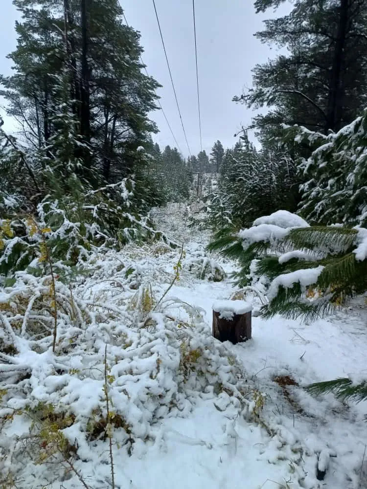 nevadas el coihue 2