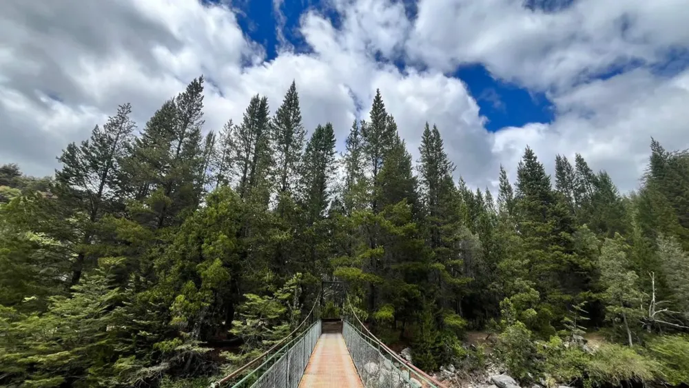 WhatsApp Image 2025-11-21 at 11.34.02