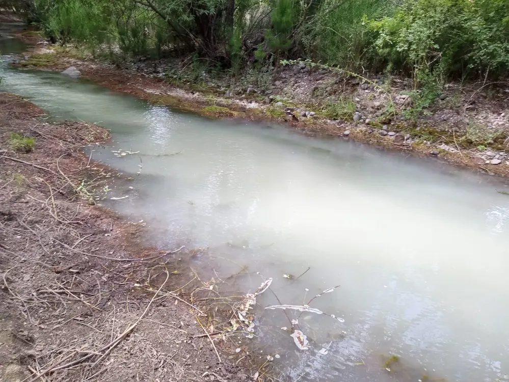 rio quemquemtreu turb