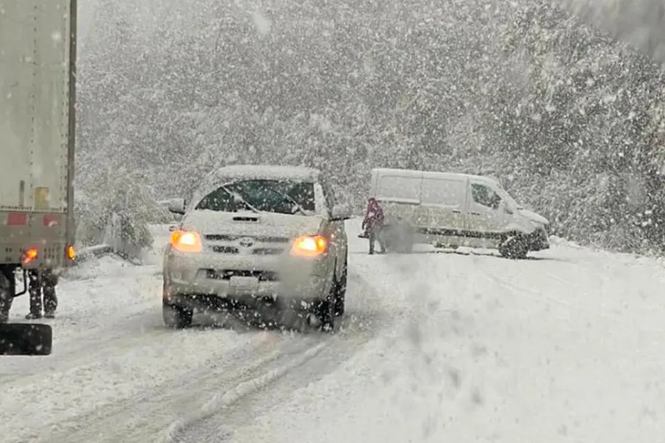 nieve mayo
