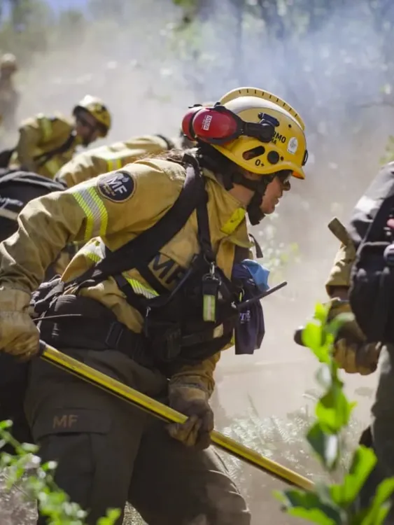 incendio patriada 47