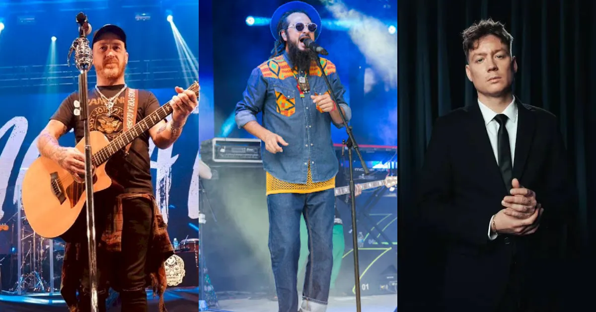 calma_feed (1200 x 628 px)