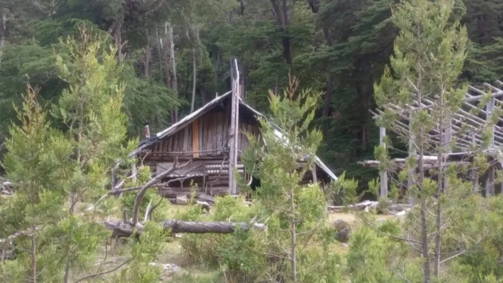 1765213518_68bf40e8f63be8599f51