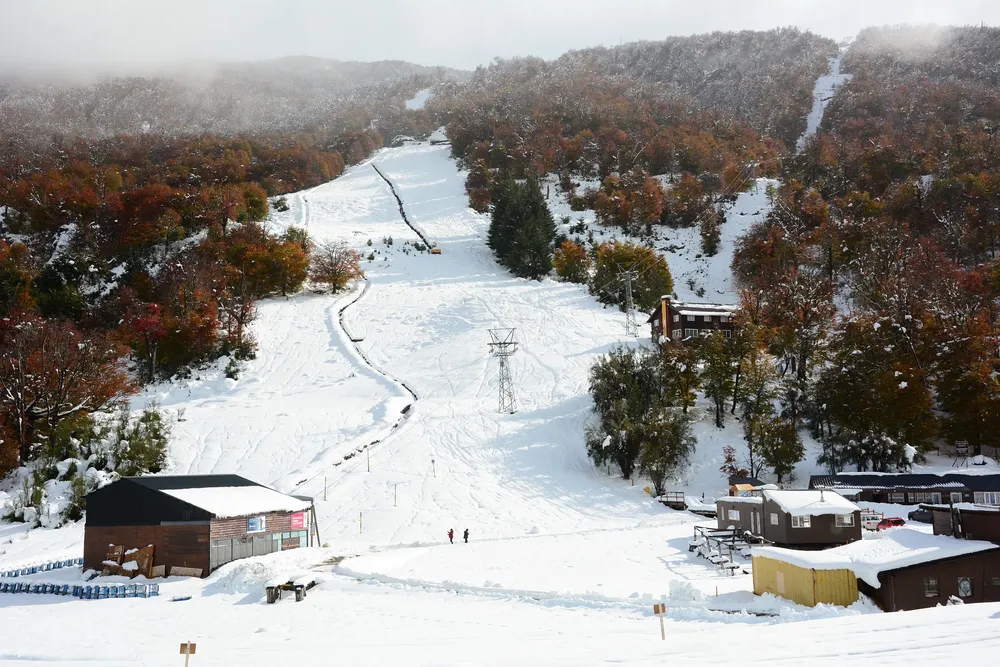 Futura Zona de nieve de cultivo