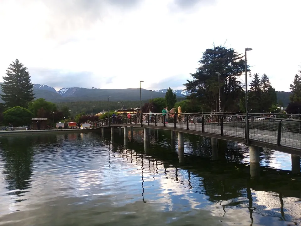 el bolson verano 2024