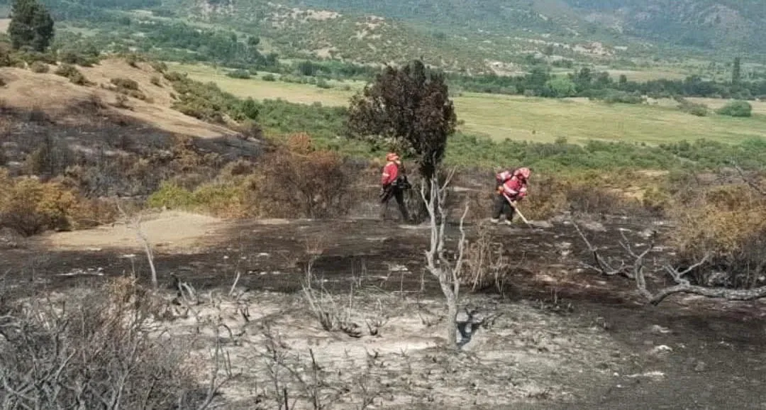 incendio cholila 2026 3