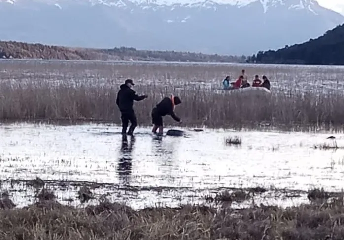 busqueda lago lezana