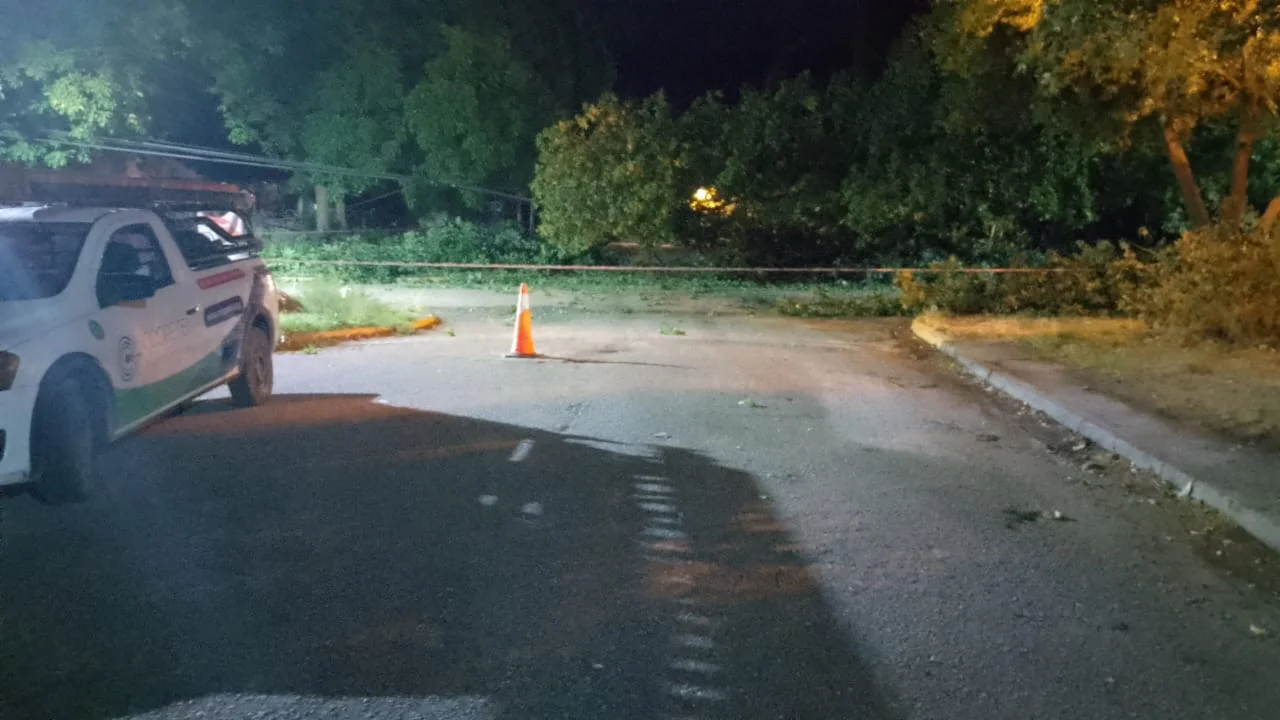 4b57ad37-296f-4a1a-a550-545dfef16146