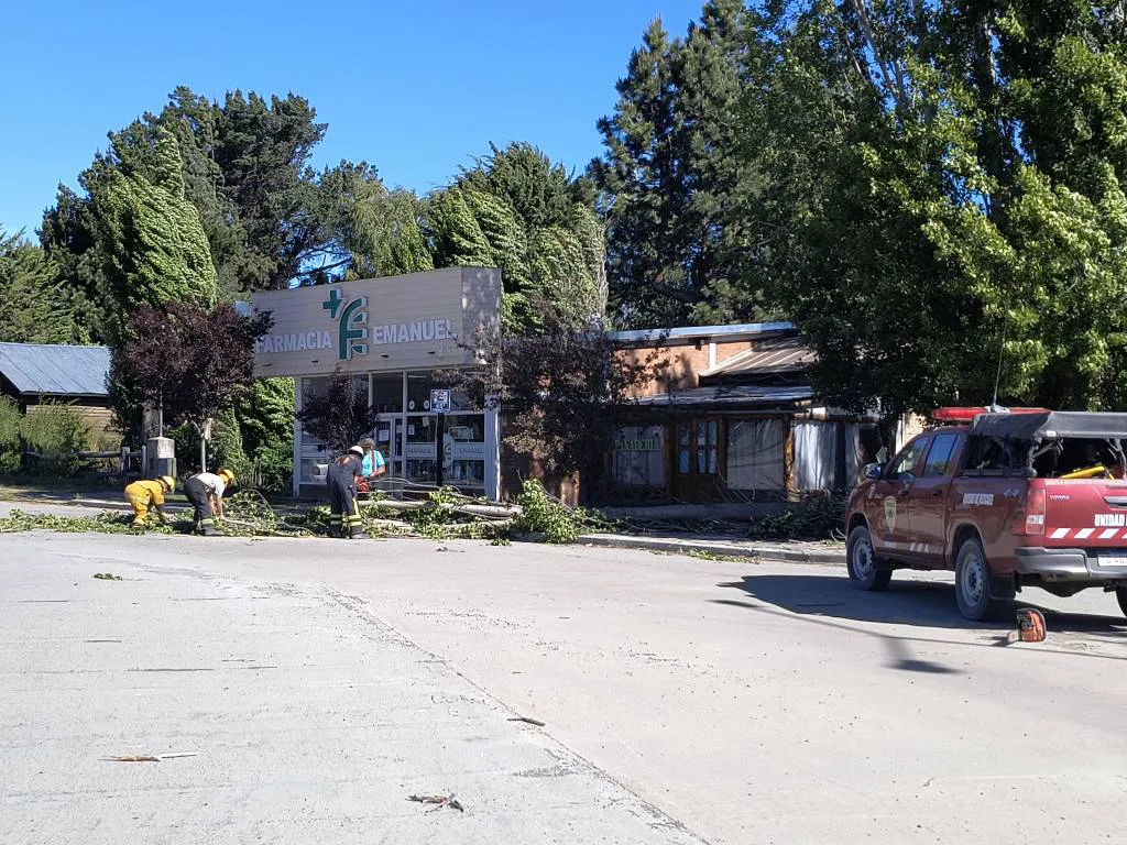 bomberos cholila nov 2