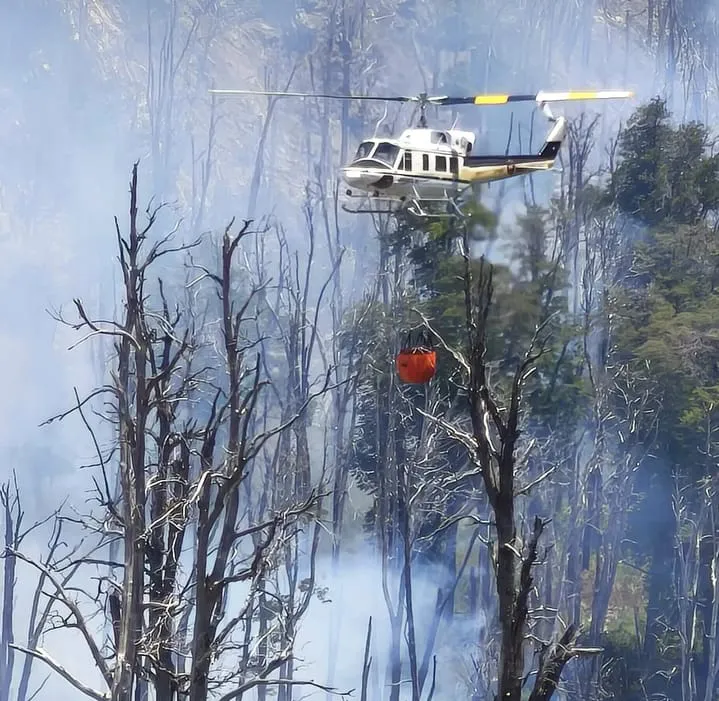 incendio el turbio 29