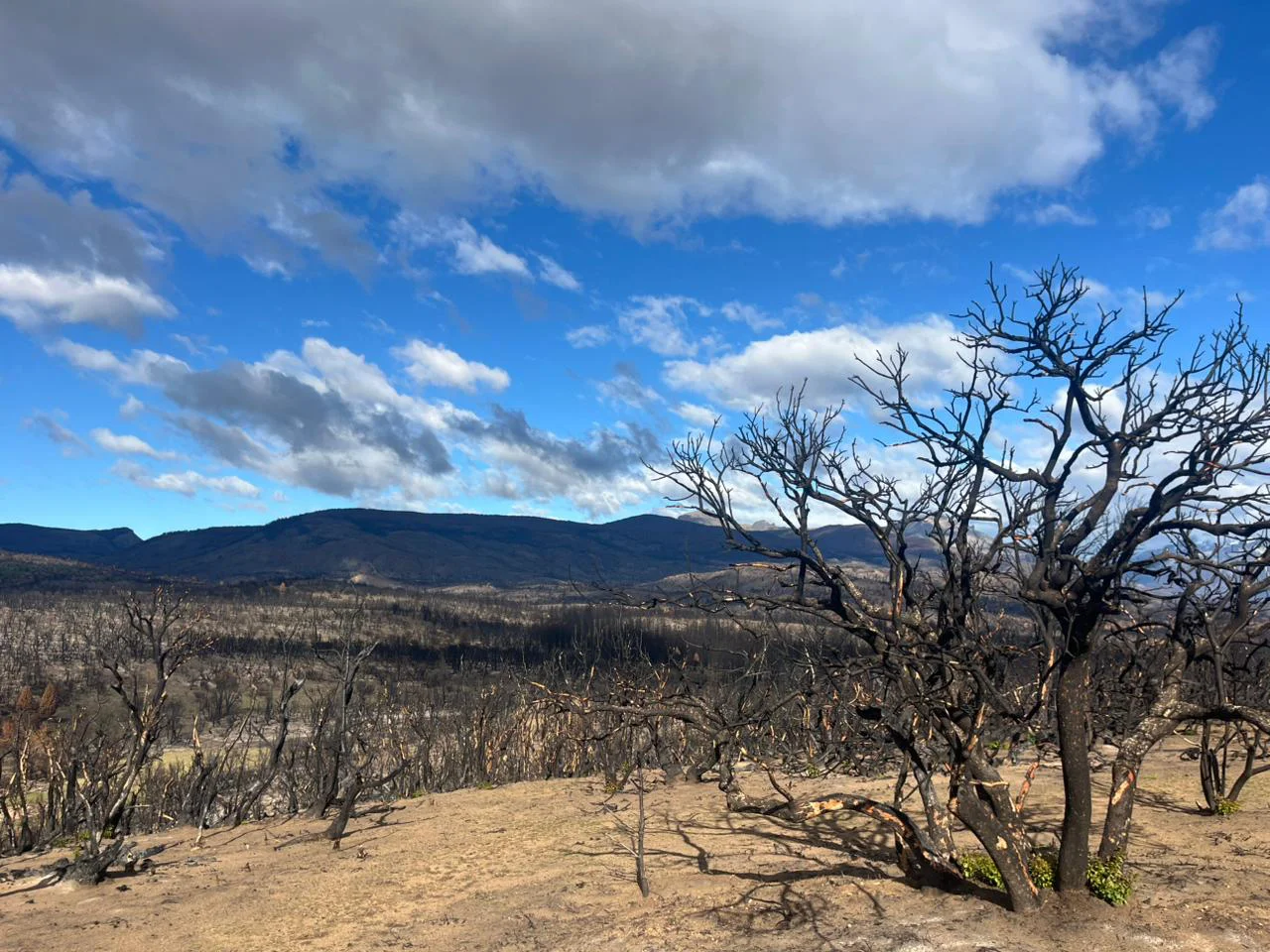 d90e667a-19e4-415d-b270-5b5fe3ecdfa1