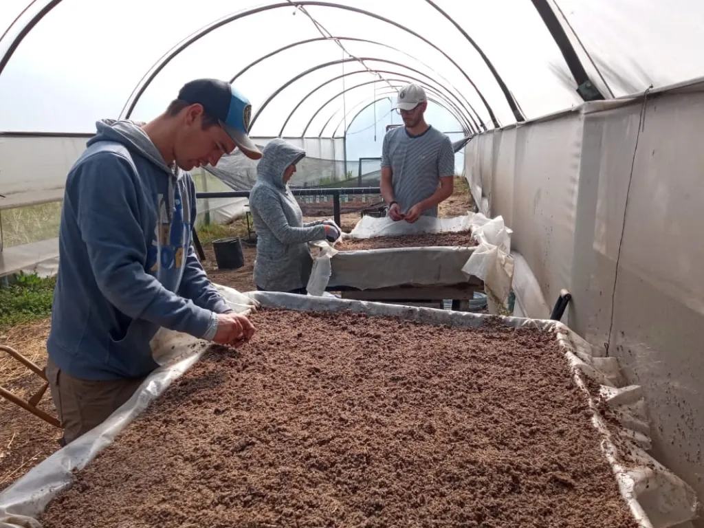 vivero forestal