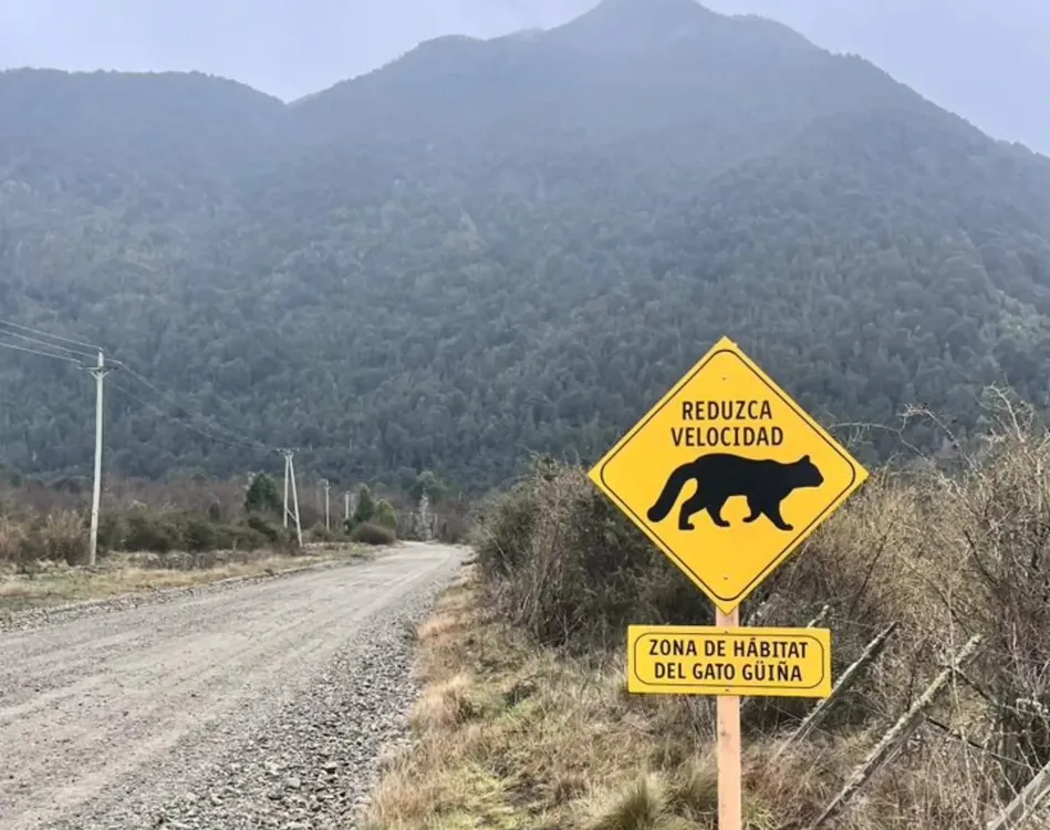 615893463_1332567475571413_7171117216675208613_n