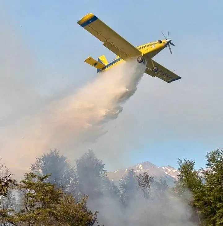 WhatsApp Image 2024-11-28 at 10.20.13