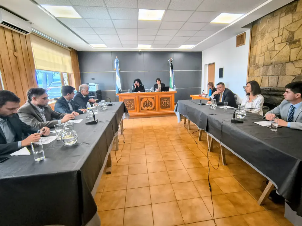 concejo magistratura