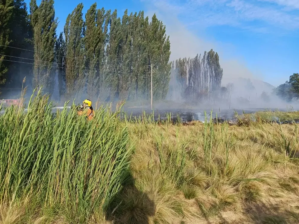 incendio el hoyo ene 1