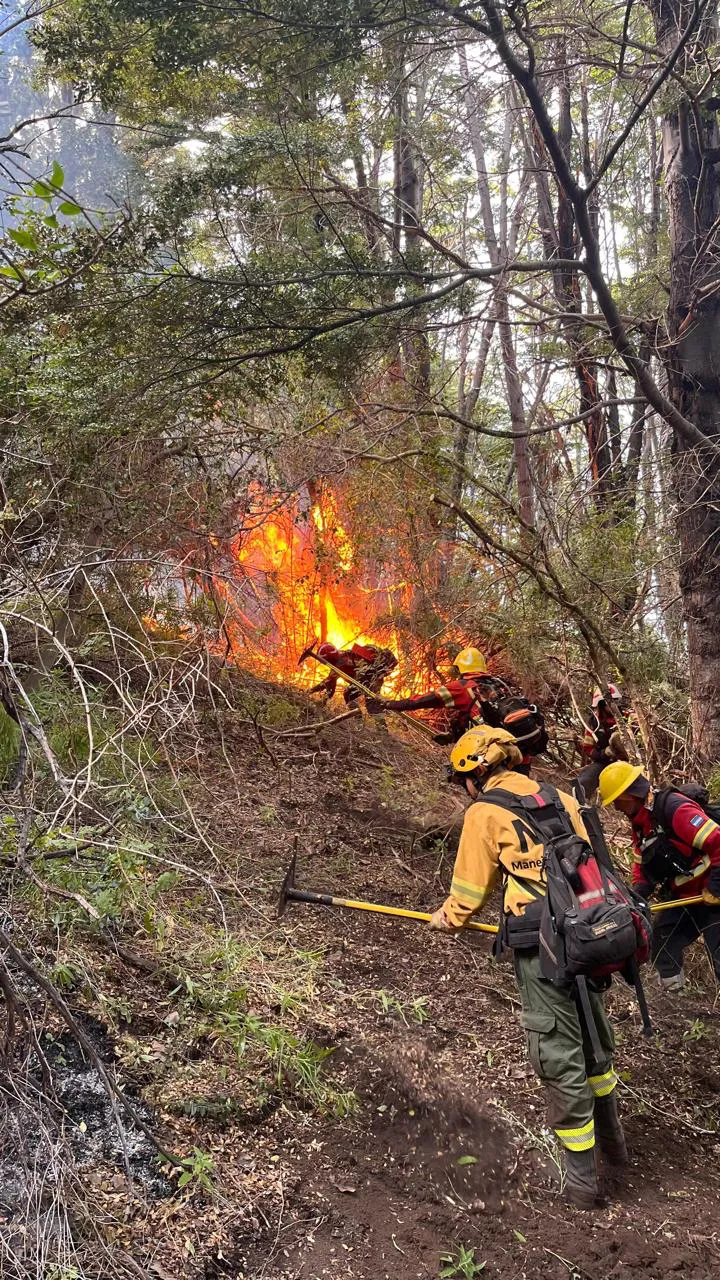 incendio lago menendez 19