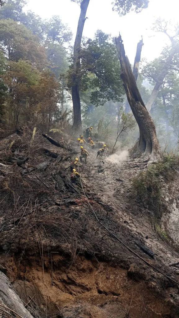 incendio los manzanos 48