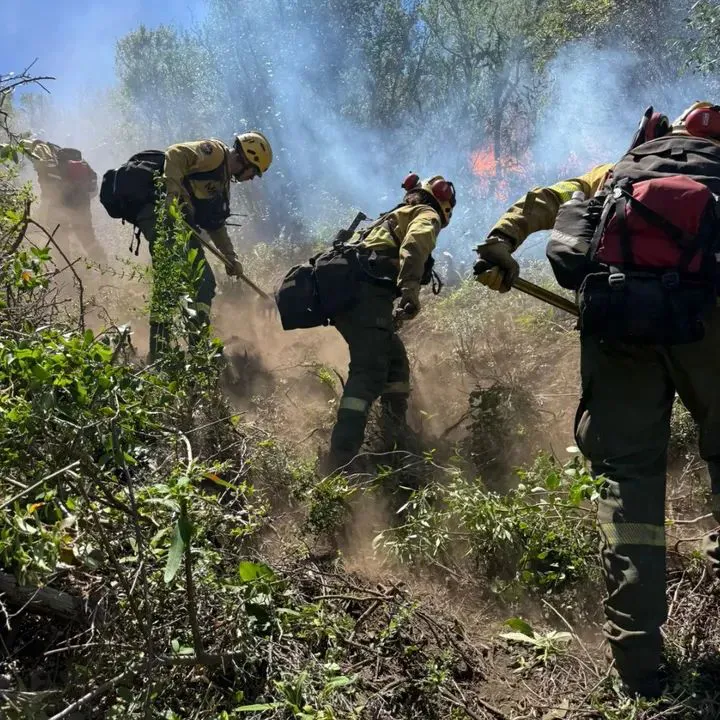 FB_IMG_1769313011273