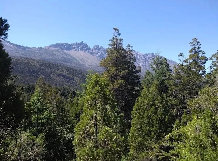 cerro amigo