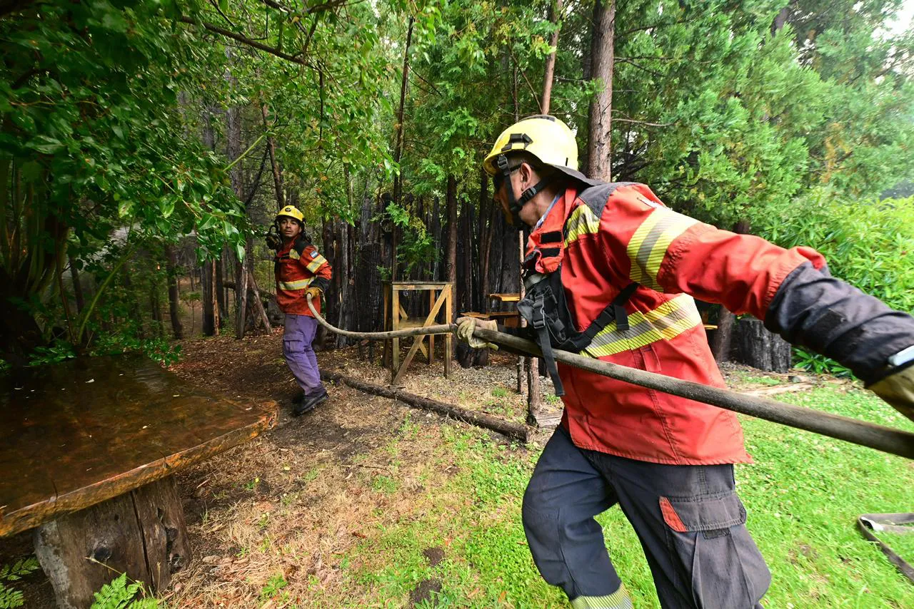 WhatsApp Image 2026-02-05 at 15.34.56