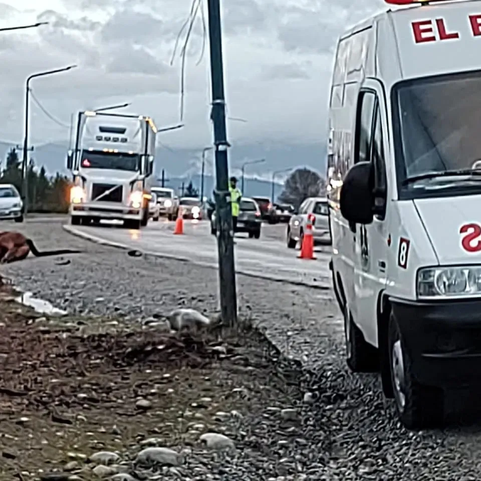 accidente caballo lujan 2