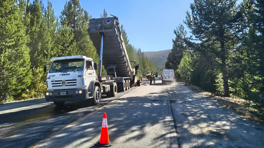 d7c745f2-b98c-477d-8f40-26c7b762c60d