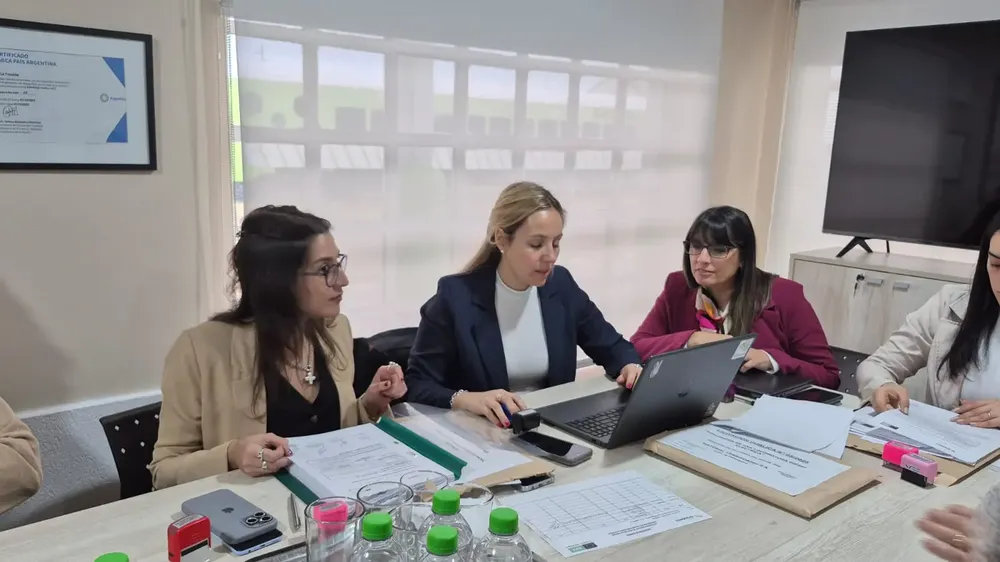 licit tren patagonico