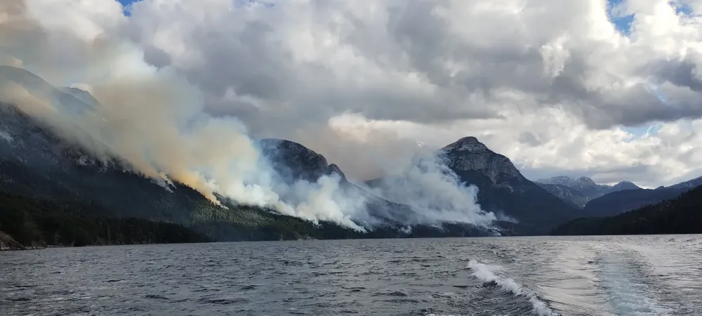 incendio brazo tristeza 5