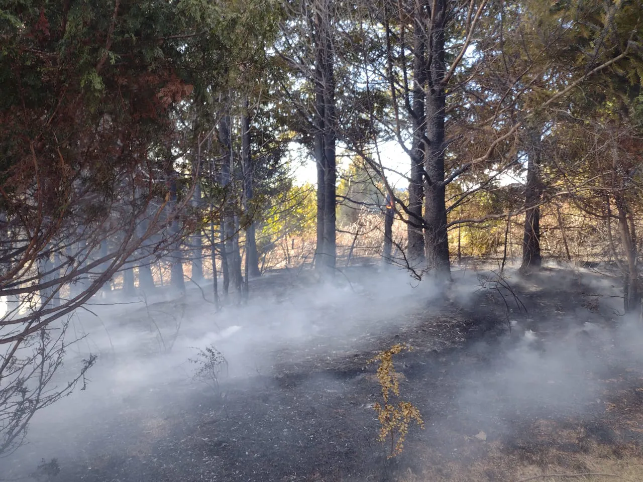 incendio inalef 2